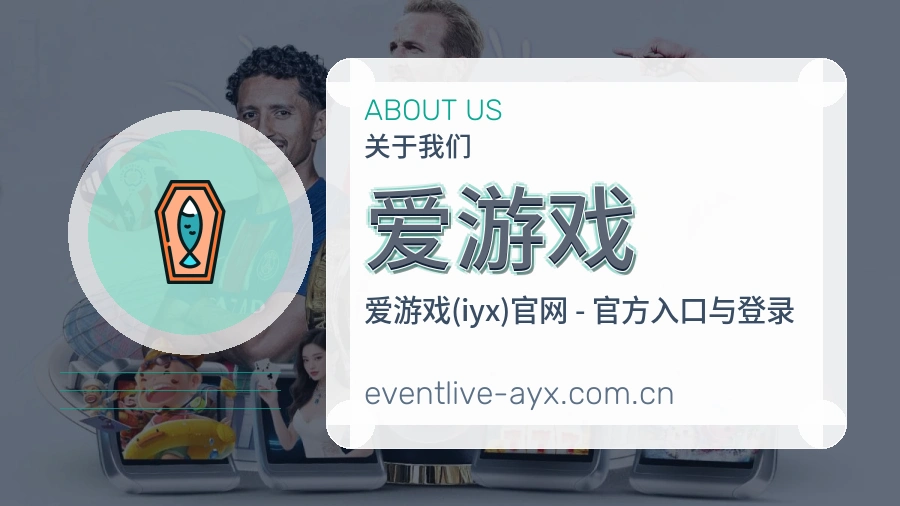 爱游戏便捷访问服务说明